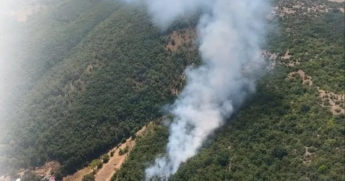 Bursa Kestel ve Harmancık'ta orman yangını... Havadan ve karadan müdahale sürüyor -