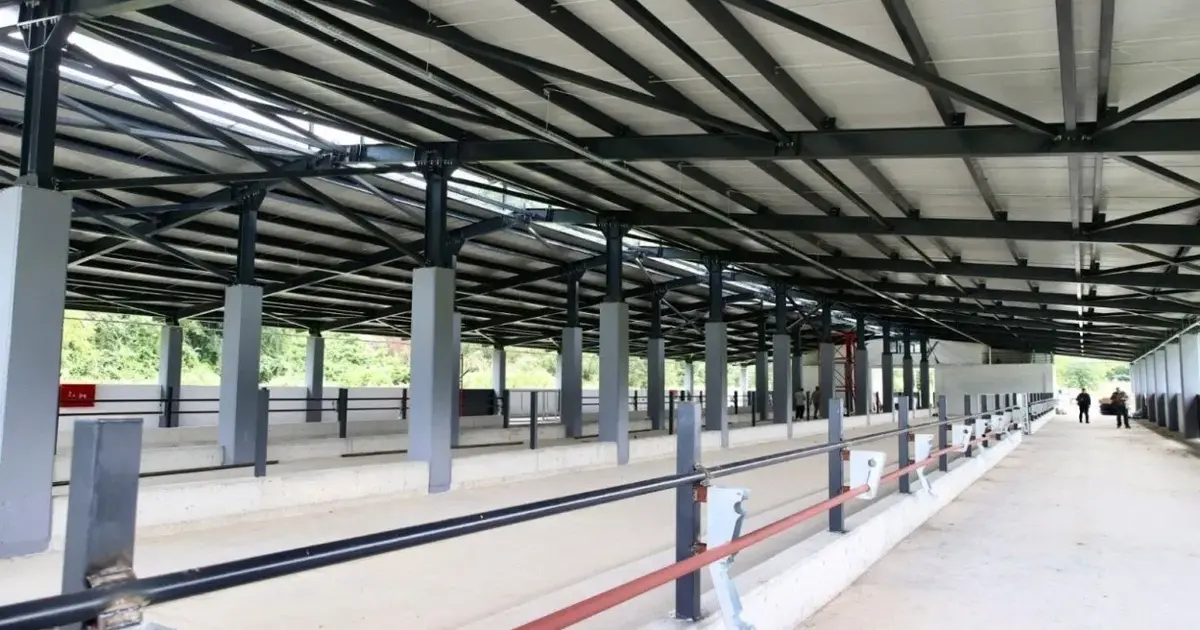Ordu Fatsa’da Damızlık Düve Yetiştirme Merkezi tamamlandı -