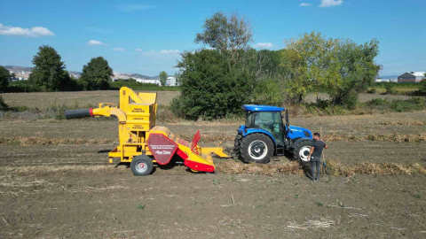 İnegöl’ün cerrah kuru fasulyesinde hasat zamanı