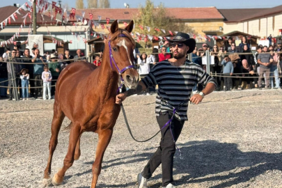 2. Ürgüp At Festivali Coşkuyla Tamamlandı