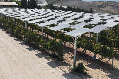 Yüzde 60 Eğimli Arazide İlk Güneş Enerjisi Santrali Adana’da
