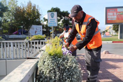 Antalya’da 4 Milyon Çiçek Toprakla Buluşuyor