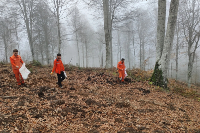 Harmancık’ta Yanan Ormanlara Tohumlar Serpiliyor