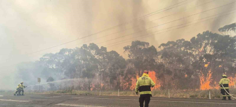 Avustralya’da devam eden orman yangınlarında itfaiye görevlisi öldü