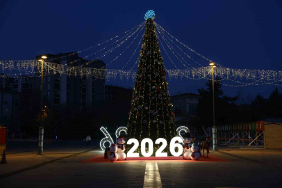 Nilüfer yeni yıla hazır