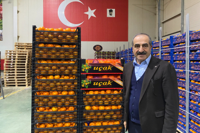Mandalina İhracatı Tarih Yazıyor