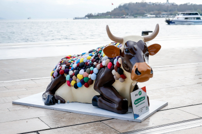 Sütaş'ın Mutlu İnekleri, Sanatçıların Tasarımları İle Şehre Geldi