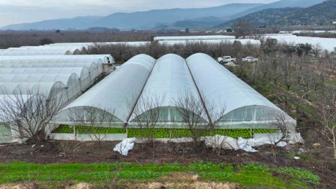 Lodostan zarar gören seralara Büyükşehir desteği