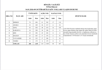 Bingöl’de karla mücadele sürüyor: 232 köy yolu ulaşıma açıldı