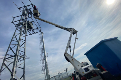 Kuşların Göç Yolculuğunda “Elektrik Çarpması Tehdidinin Önlenmesi” için Uluslararası Çalışma Başlatıldı