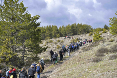Başkentliler Şahinler Tabiat Parkı’nda doğayla buluştu