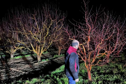 Zirai don alarmı! Ekipler sahada