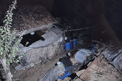 Bursa'da torun dehşetine rekor ceza: 3 cinayete 111 yıl hapis