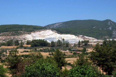 TEMA Vakfı: İklim Krizine Karşı Kaybedecek Zamanımız Kalmadı