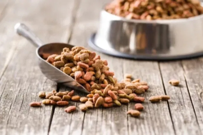 Yeni yapılan 31 bilimsel araştırmaya göre, vegan köpek maması ve vegan kedi mamasının iyi sindirildiğini ortaya koydu