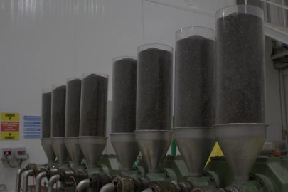 Türk Çörekotu Ve Kekiği ABD Pazarına Katma Değerli Ürün Olarak Açılıyor