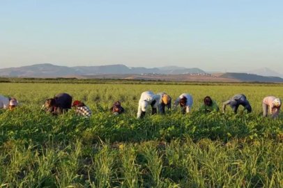 Hatay’da Tarımsal Üretimde Onarıcı Dönüşüm Projesine Bir Ödül Daha